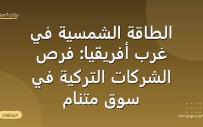 الطاقة الشمسية في غرب أفريقيا: فرص الشركات التركية في سوق متنامٍ