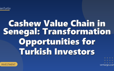 Cashew Value Chain in Senegal: Transformation Opportunities for Turkish Investors