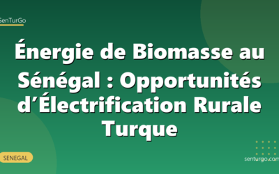 Énergie de Biomasse au Sénégal : Opportunités d’Électrification Rurale Turque