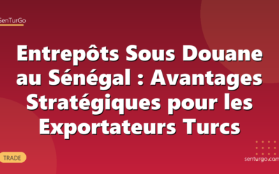 Entrepôts Sous Douane au Sénégal : Avantages Stratégiques pour les Exportateurs Turcs