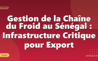Gestion de la Chaîne du Froid au Sénégal : Infrastructure Critique pour Export