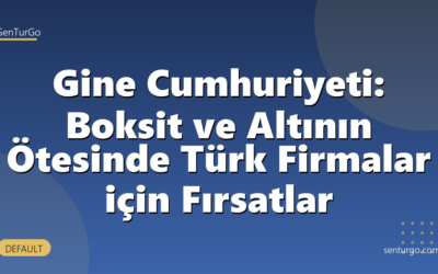 Gine Cumhuriyeti: Boksit ve Altının Ötesinde Türk Firmalar için Fırsatlar
