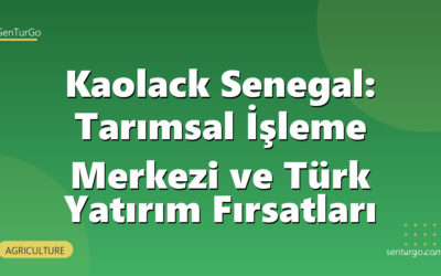 Kaolack Senegal: Tarımsal İşleme Merkezi ve Türk Yatırım Fırsatları