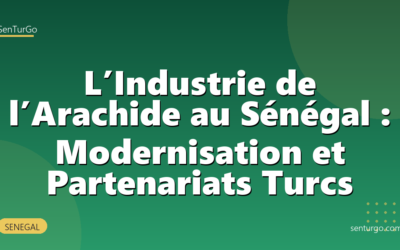 L’Industrie de l’Arachide au Sénégal : Modernisation et Partenariats Turcs