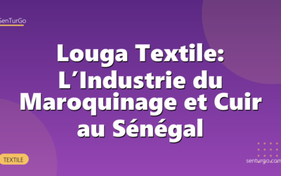 Louga Textile: L’Industrie du Maroquinage et Cuir au Sénégal