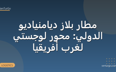 مطار بلاز ديامنياديو الدولي: محور لوجستي لغرب أفريقيا