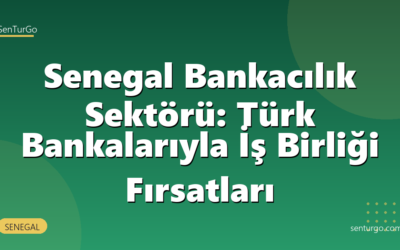 Senegal Bankacılık Sektörü: Türk Bankalarıyla İş Birliği Fırsatları