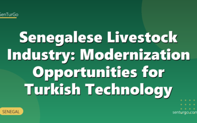 Senegalese Livestock Industry: Modernization Opportunities for Turkish Technology