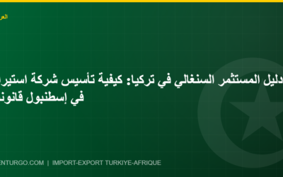 دليل المستثمر السنغالي في تركيا: كيفية تأسيس شركة استيراد في إسطنبول قانونياً