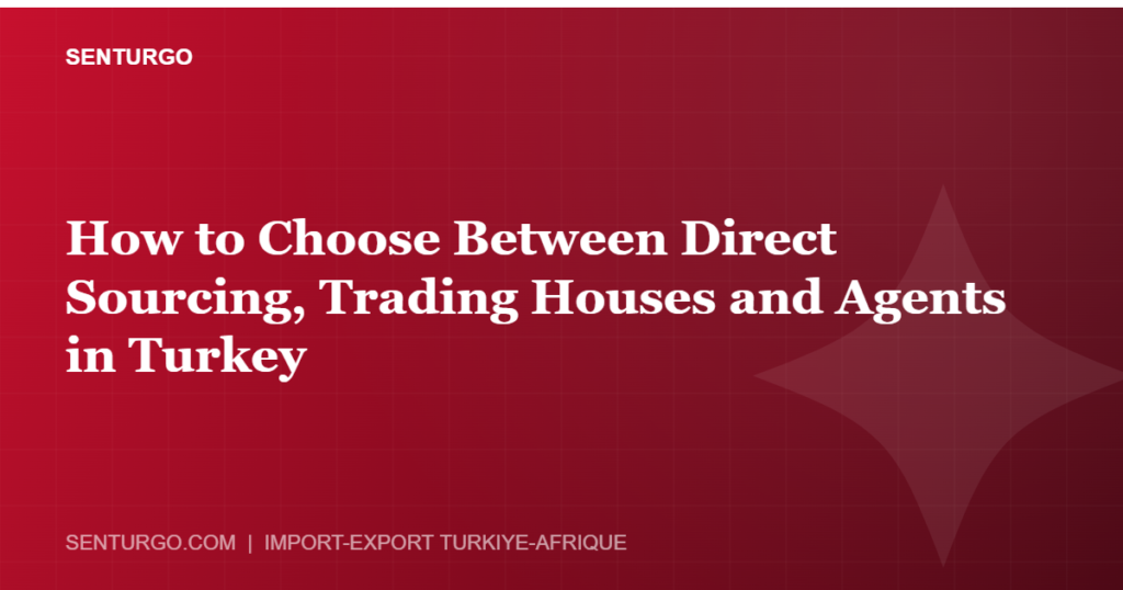 Thumbnail - How to Choose Between Direct Sourcing, Trading Houses and Agents in Turkey