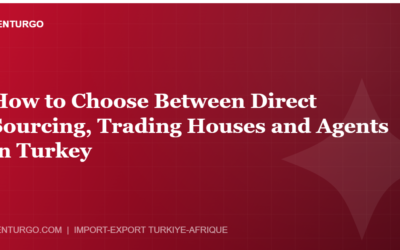 How to Choose Between Direct Sourcing, Trading Houses and Agents in Turkey