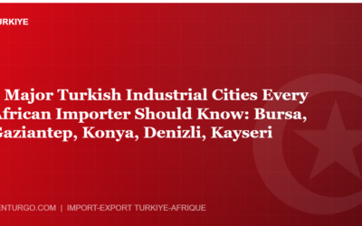 5 Major Turkish Industrial Cities Every African Importer Should Know: Bursa, Gaziantep, Konya, Denizli, Kayseri