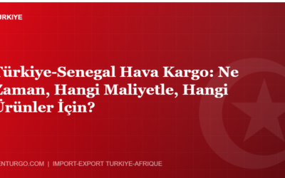 Türkiye-Senegal Hava Kargo: Ne Zaman, Hangi Maliyetle, Hangi Ürünler İçin?