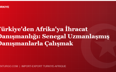 Türkiye’den Afrika’ya İhracat Danışmanlığı: Senegal Uzmanlaşmış Danışmanlarla Çalışmak