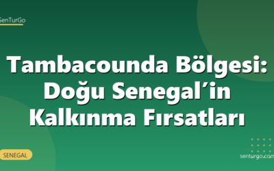 Tambacounda Bölgesi: Doğu Senegal’in Kalkınma Fırsatları