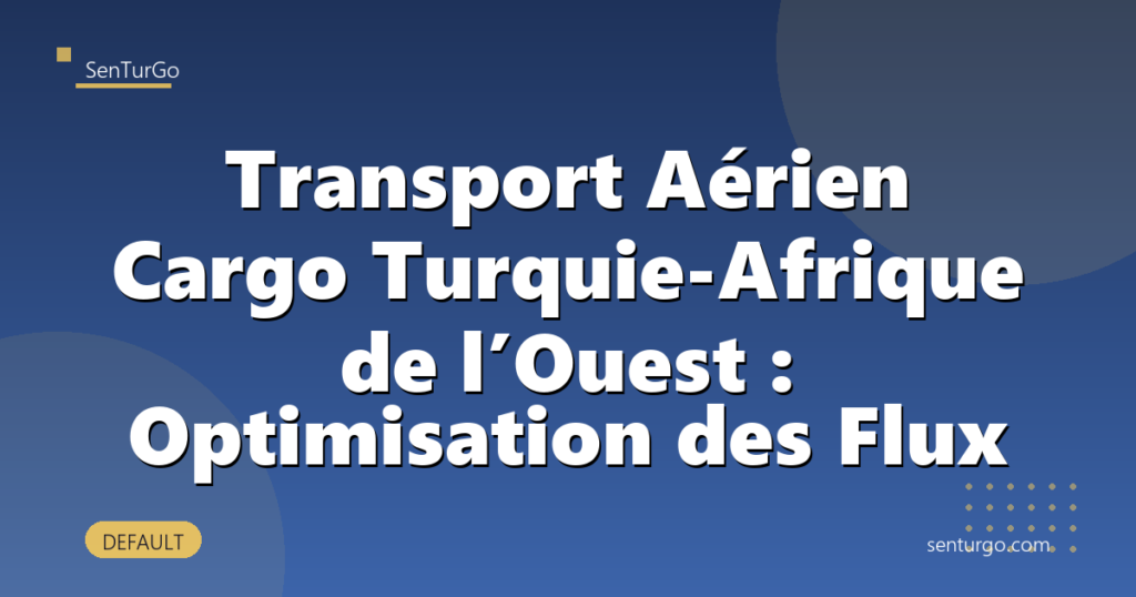 Transport Aérien Cargo Turquie-Afrique de l’Ouest : Optimisation des Flux