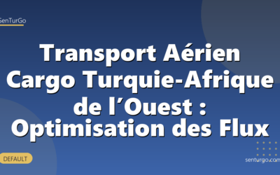 Transport Aérien Cargo Turquie-Afrique de l’Ouest : Optimisation des Flux
